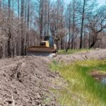 Drumurile forestiere și protecția mediului: echilibru între dezvoltare și natură