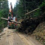 Construcția drumurilor pentru zone de exploatare forestieră: acces durabil