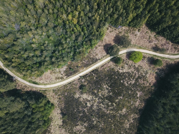 Construcția drumurilor pentru acces în zone muntoase: soluții adaptate terenului